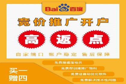 SEM广告投放案例：精准定位客户需求